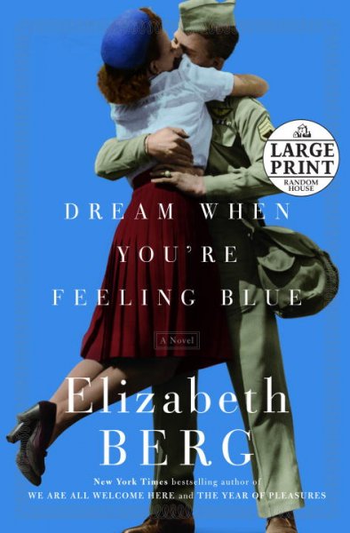 Dream when you're feeling blue : a novel / Elizabeth Berg.