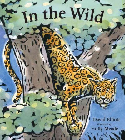 In the wild / David Elliott ; illustrated by Holly Meade.