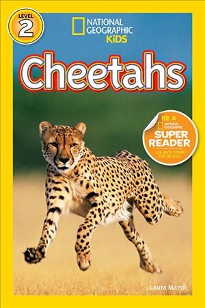 Cheetahs / Laura Marsh.