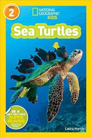Sea turtles / Laura Marsh.