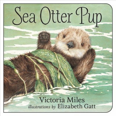 Sea otter pup / Victoria Miles ; illustrated by Elizabeth Gatt.