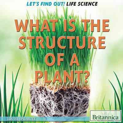 What is the structure of a plant? / Louise Spilsbury.