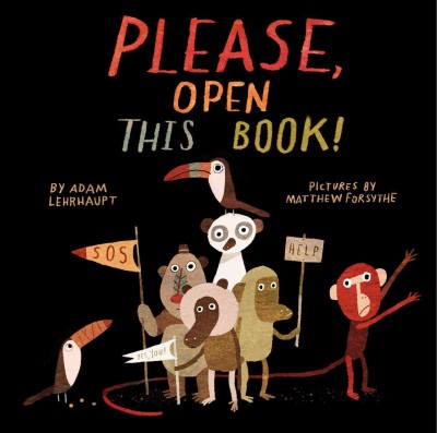 Please, open this book! / by Adam Lehrhaupt ; pictures by Matthew Forsythe.