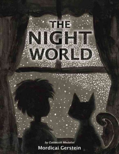 The night world / Mordicai Gerstein.