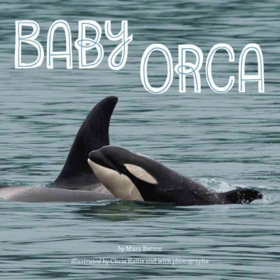 Baby orca / by Mary Batten ; illustrated by Chris Rallis and with photographs.