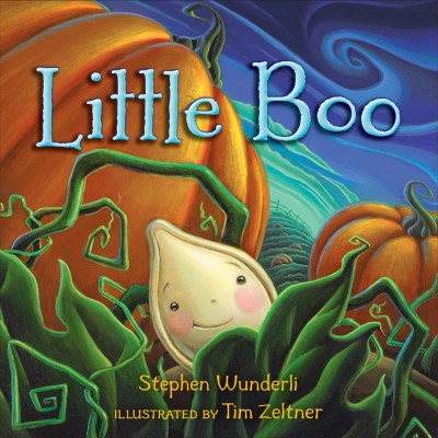 Little Boo / Stephen Wunderli ; illustrated by Tim Zeltner.