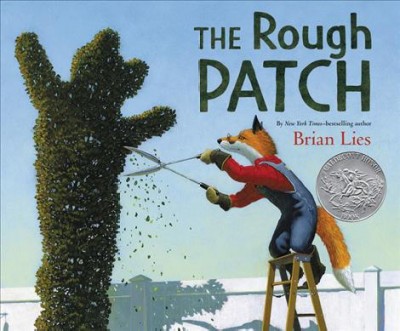The rough patch / written and illustrated by Brian Lies.