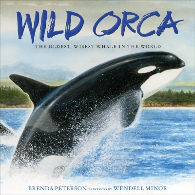 Wild orca : the oldest, wisest whale in the world / Brenda Peterson ; paintings by Wendell Minor.