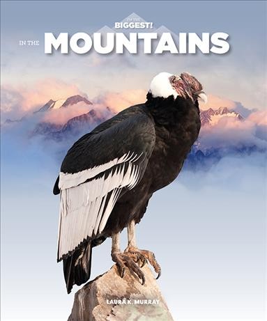 In the mountains / Laura K. Murray.