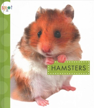 Hamsters / by Mari Schuh.