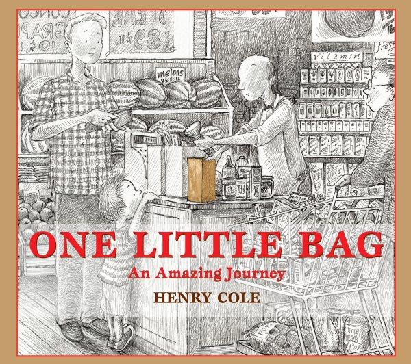 One little bag : an amazing journey/ Henry Cole.