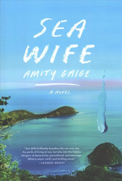 Sea wife :a novel / Amity Gaige.