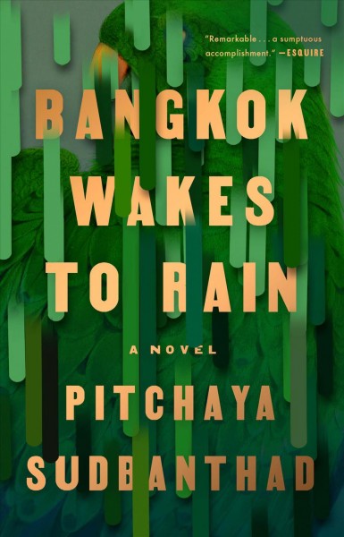 Bangkok wakes to rain / Pitchaya Sudbanthad.
