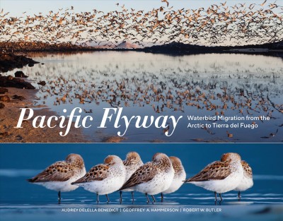 Pacific flyway : waterbird migration from the Arctic to Tierra del Fuego / Geoffrey Hammerson, Robert W. Butler, Audrey Della Benedict.