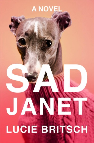 Sad Janet : a novel / Lucie Britsch.