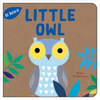 Little owl / Britta Teckentrup.