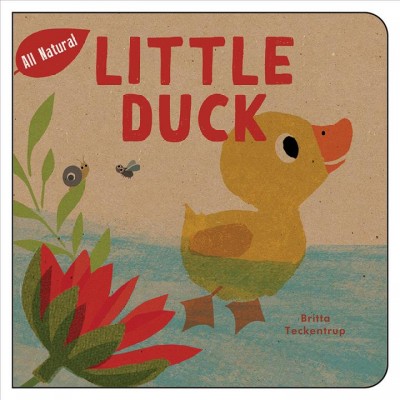 Little duck / Britta Teckentrup.