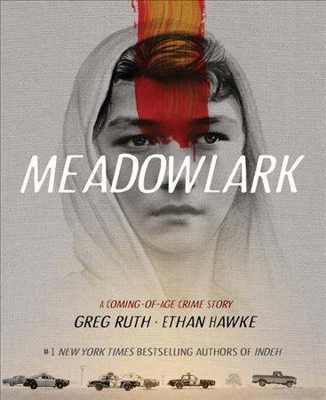 Meadowlark : a coming-of-age crime story / Greg Ruth ; Ethan Hawke.