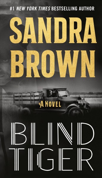 Blind tiger : a novel / Sandra Brown.