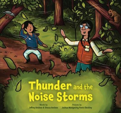 Thunder and the noise storms / words by Jeffrey Ansloos and Shezza Ansloos ; pictures by Joshua Mangeshig Pawis-Steckley.