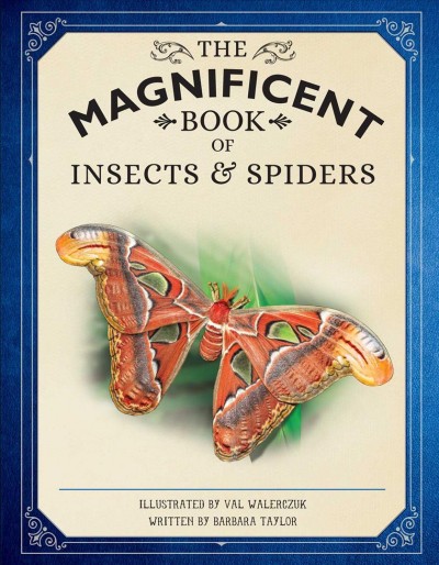 The magnificent book of insects and spiders / illustrated by Val Walerczuk ; written by Barbara Taylor.