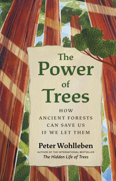 The power of trees : how ancient forests can save us if we let them / Peter Wohlleben ; translated by Jane Billinghurst.