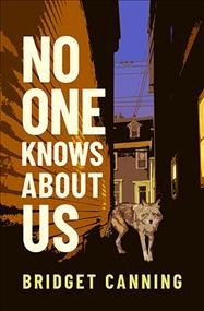No one knows about us : a short story collection / by Bridget Canning.