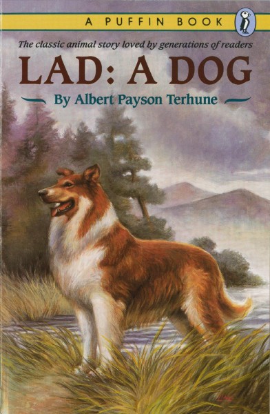 Lad, a dog / Albert Payson Terhune.