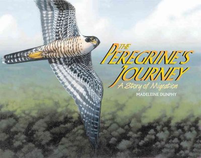 The peregrine's journey : a story of migration / Madeleine Dunphy ; illustrated by Kristin Kest.