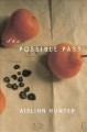 The possible past. Cover Image