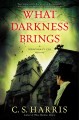 What darkness brings  Cover Image