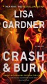 Crash & burn  Cover Image