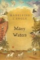 Many waters  Cover Image