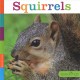 Squirrels  Cover Image