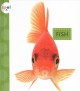 Fish  Cover Image