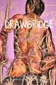 DrawBridge : drawing alongside my brother's schizophrenia  Cover Image