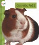 Guinea pigs  Cover Image