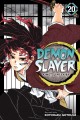 Go to record Demon slayer = Kimetsu no yaiba. Volume 20, The path of op...