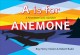 A is for anemone : a first West Coast alphabet  Cover Image