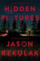 Hidden pictures : a novel  Cover Image