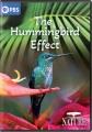 Go to record The hummingbird effect